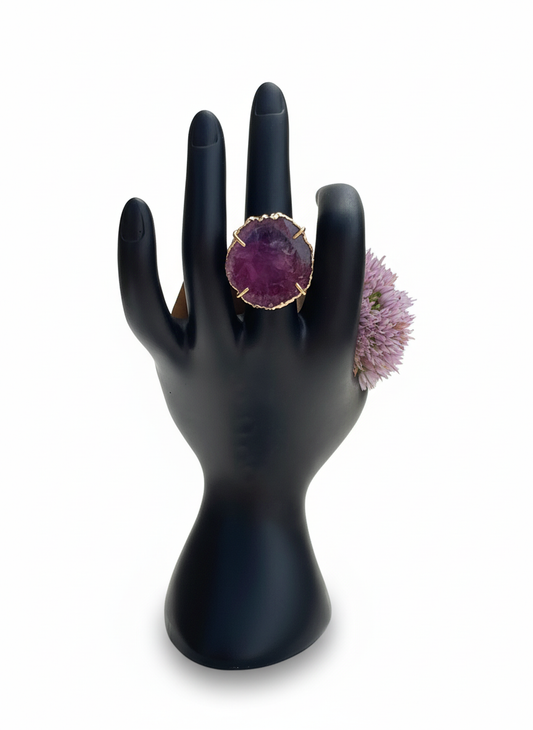 The Guardian's Embrace